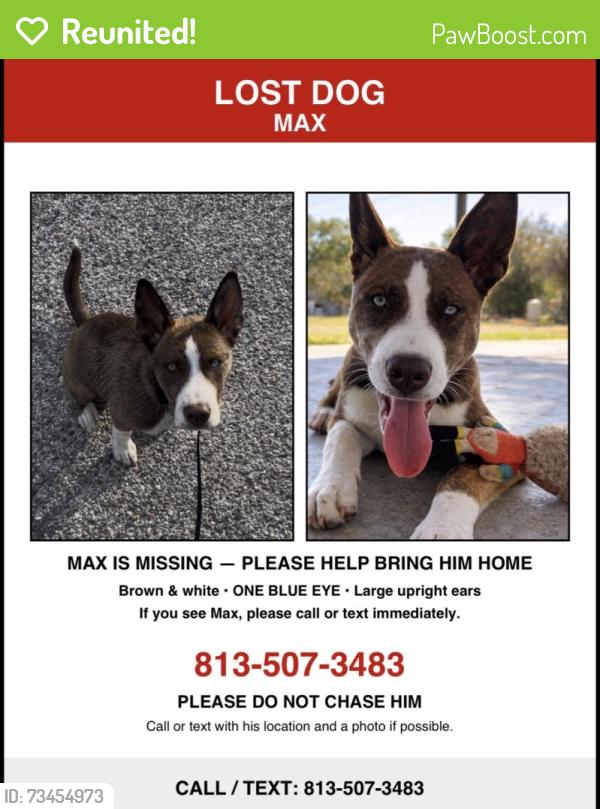 Reunited Male Dog last seen Sumner high school, Riverview, FL 33569