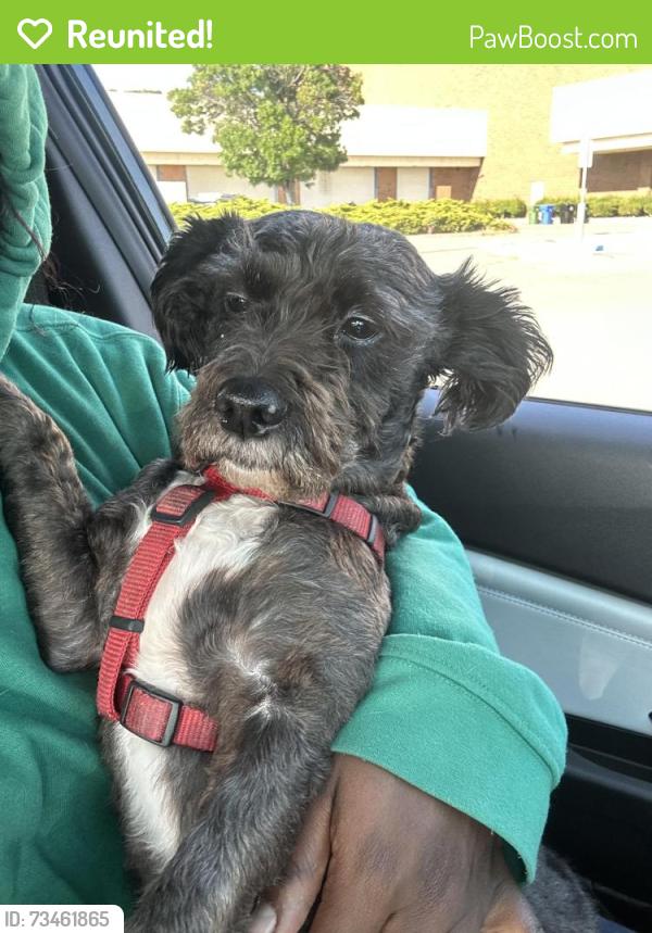 Reunited Female Dog last seen mowry school rd and joaquin murieta, Newark, CA 94560