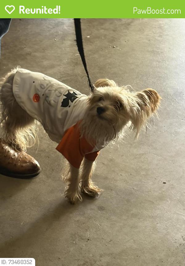 Reunited Unknown Dog last seen Near Newport Bridge Ct, Sugar Land, TX 77498, USA, Sugar Land, TX 77498