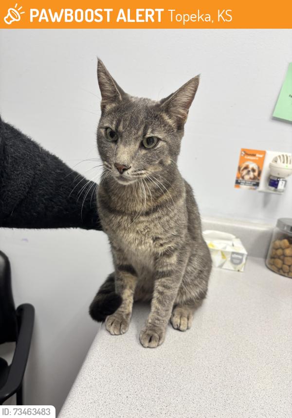Found/Stray Unknown Cat last seen SE 35th St., Topeka, KS 66605