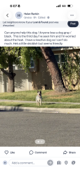 Found/Stray Male Dog last seen Near paramount and garden dale small streets, Downey, CA 90242