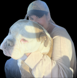 Reunited Female Dog last seen Thorson and Keller, Modesto, CA 95354