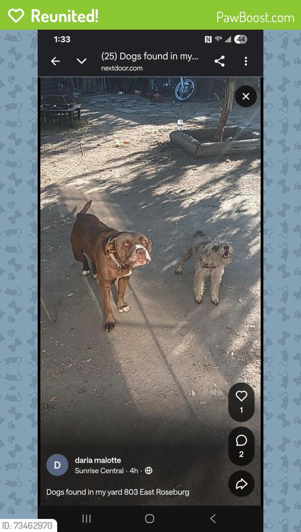 Reunited Male Dog last seen East roseburg, Modesto, CA 95350