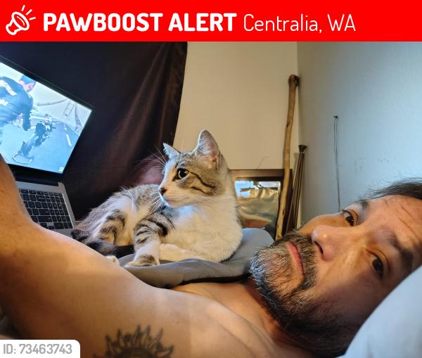 Lost Female Cat last seen Harrison, Centralia, WA 98531