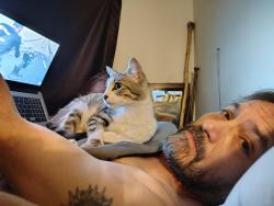 Lost Female Cat last seen Harrison, Centralia, WA 98531