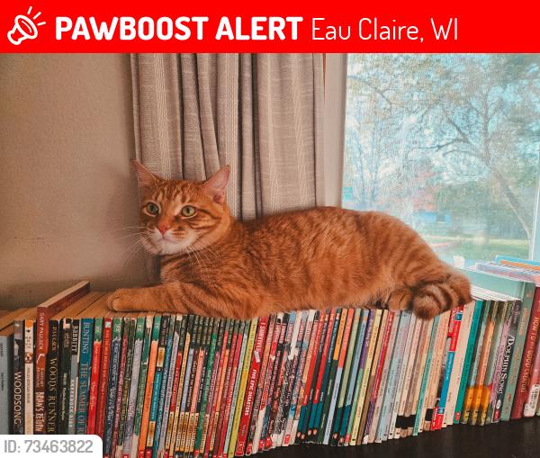 Lost Male Cat last seen Park Ridge Court nearby First Choice Recycling, Eau Claire, WI 54703