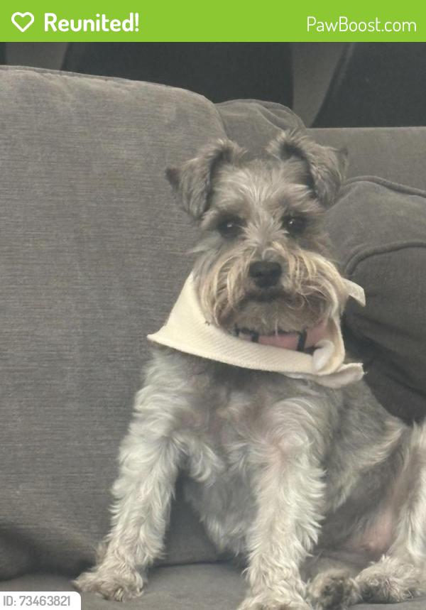 Reunited Female Dog last seen Near Bowen avenue, Modesto, CA 95350