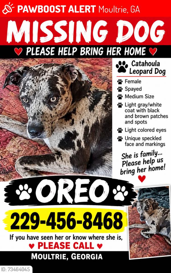 Lost Female Dog last seen Humane society sent her away with 6 puppys, Moultrie, GA 31768
