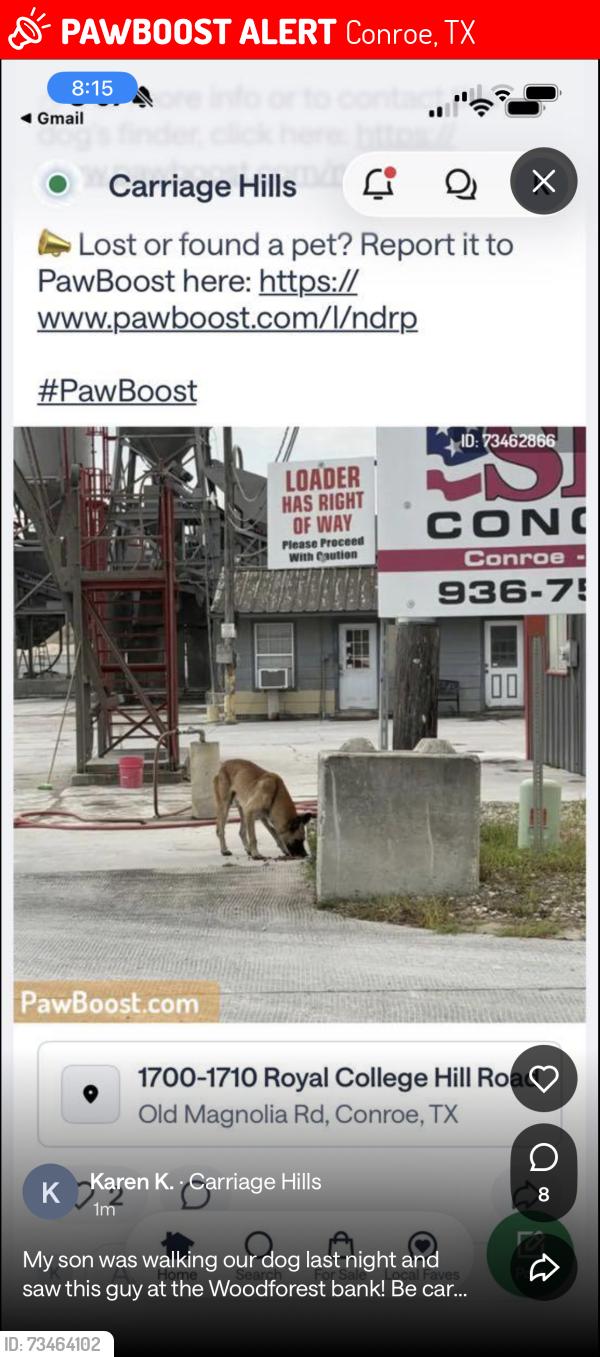 Lost Male Dog last seen Old magnolia, Conroe, TX 77305