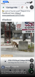 Lost Male Dog last seen Old magnolia, Conroe, TX 77305