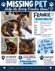 Lost Male Cat last seen Maidu park, Roseville, CA 95661