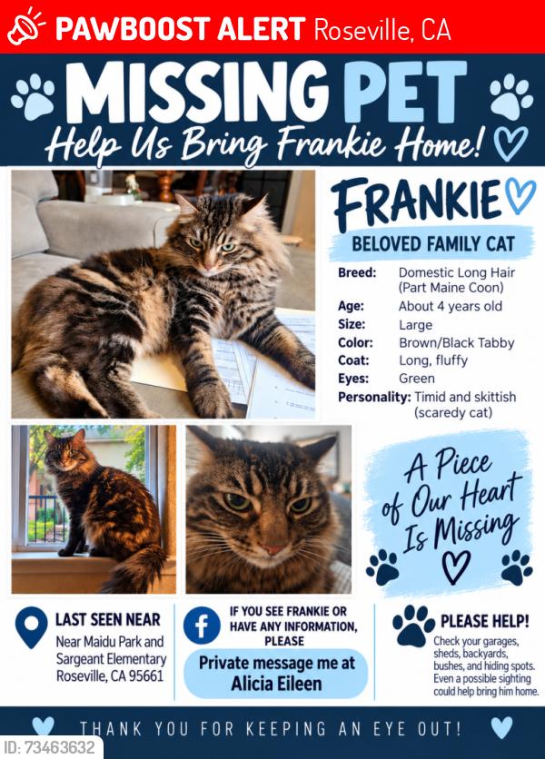 Lost Male Cat last seen Maidu park, Roseville, CA 95661