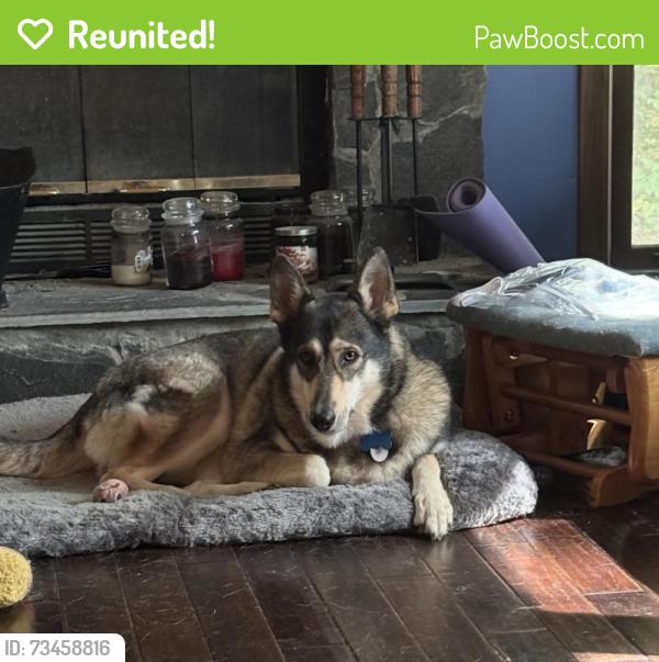Reunited Female Dog last seen Cedarcrest, Dallas, GA 30132