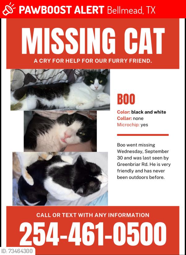 Lost Male Cat last seen Greenbriar Dr and Glenwood, Bellmead, TX 76705