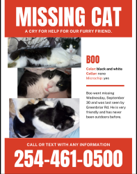 Lost Male Cat last seen Greenbriar Dr and Glenwood, Bellmead, TX 76705