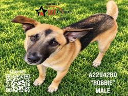 Shelter Stray Male Dog last seen , 3201 Lacy St, Los Angeles, CA 90031, USA