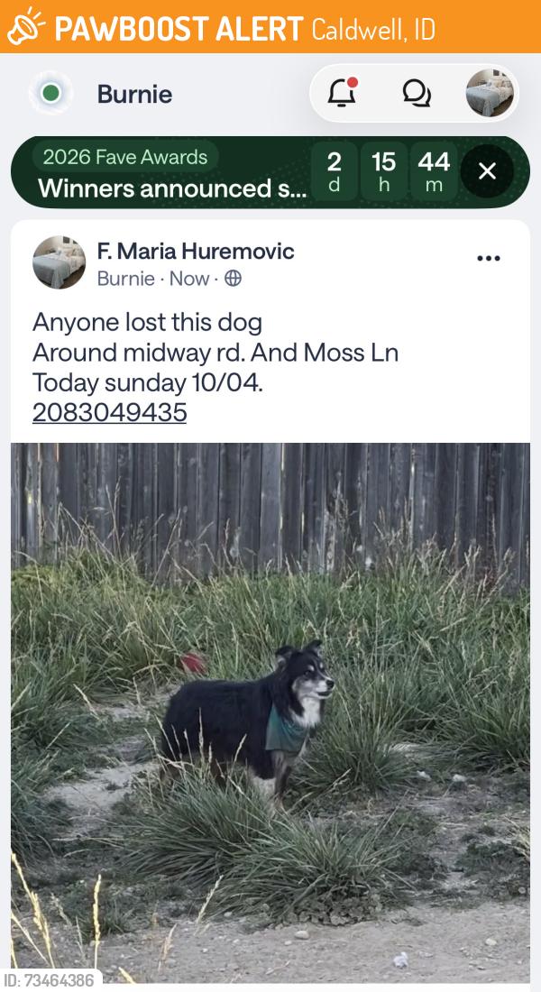 Found/Stray Unknown Dog last seen Midway and moss, Caldwell, ID 83651