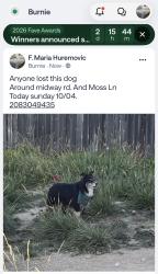 Found/Stray Unknown Dog last seen Midway and moss, Caldwell, ID 83651