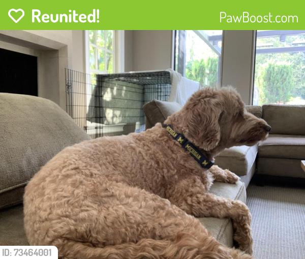Reunited Male Dog last seen Farms road, Stamford, CT 06903