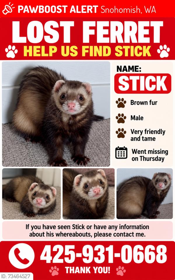 Lost Male Ferret last seen Rota Estadual 9, Maltby, Snohomish, WA 98296