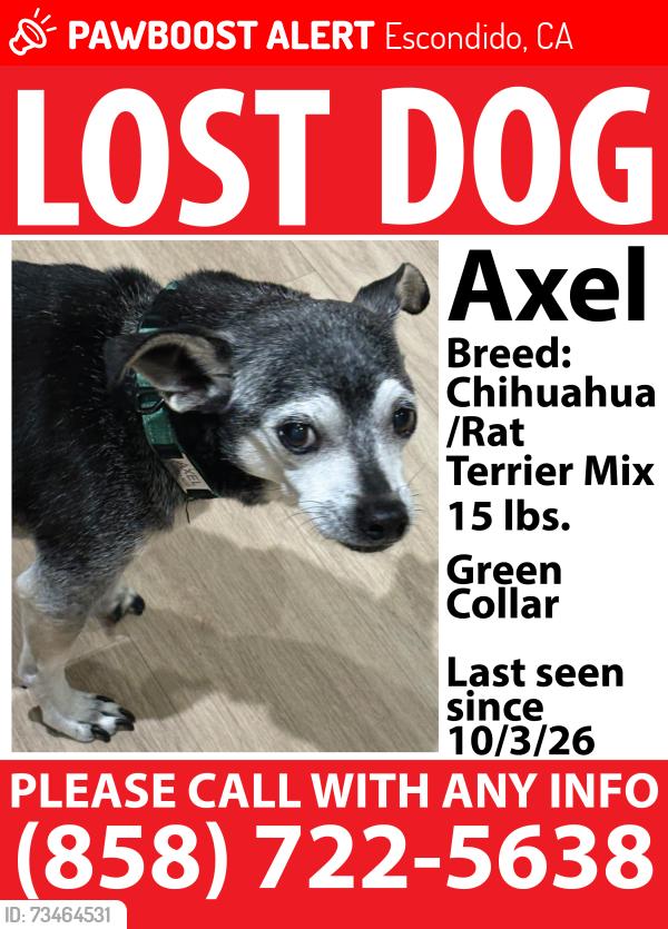 Lost Male Dog last seen W country club lane, Escondido, CA 92026