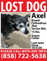 Lost Male Dog last seen W country club lane, Escondido, CA 92026