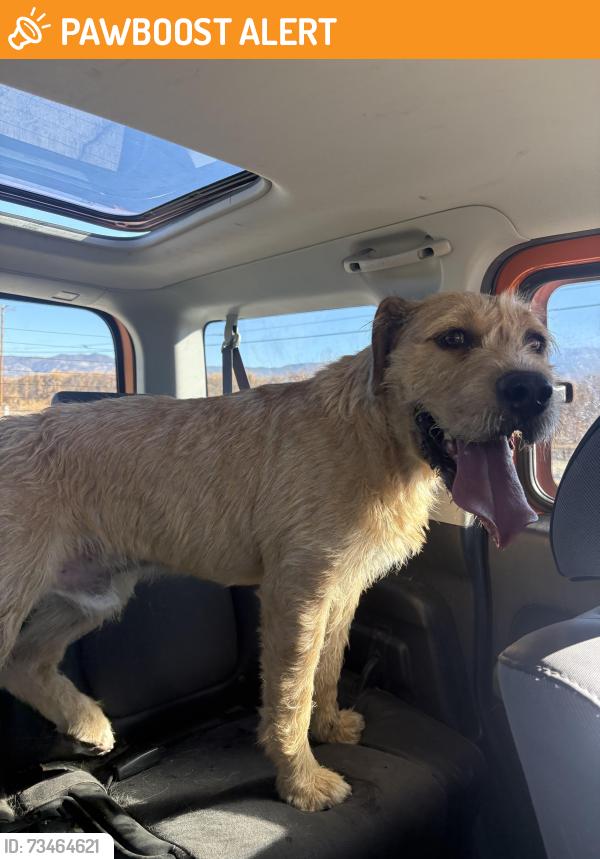 Found/Stray Male Dog last seen Fairview Ave near, Riverside County, CA 92544