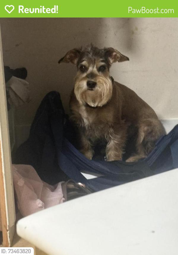 Reunited Male Dog last seen Near Bowen avenue, Modesto, CA 95350