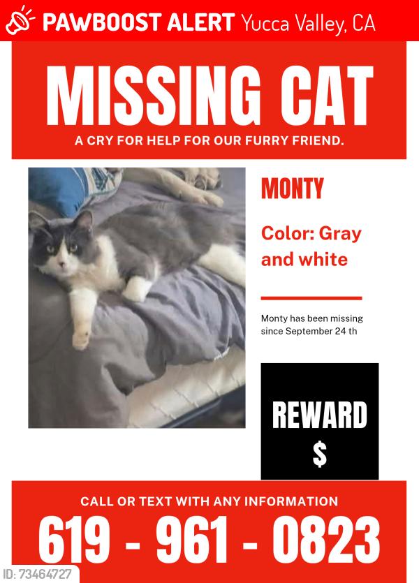 Lost Male Cat last seen Paxton, Yucca Valley, CA 92284