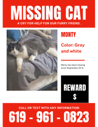 Lost Male Cat last seen Paxton, Yucca Valley, CA 92284