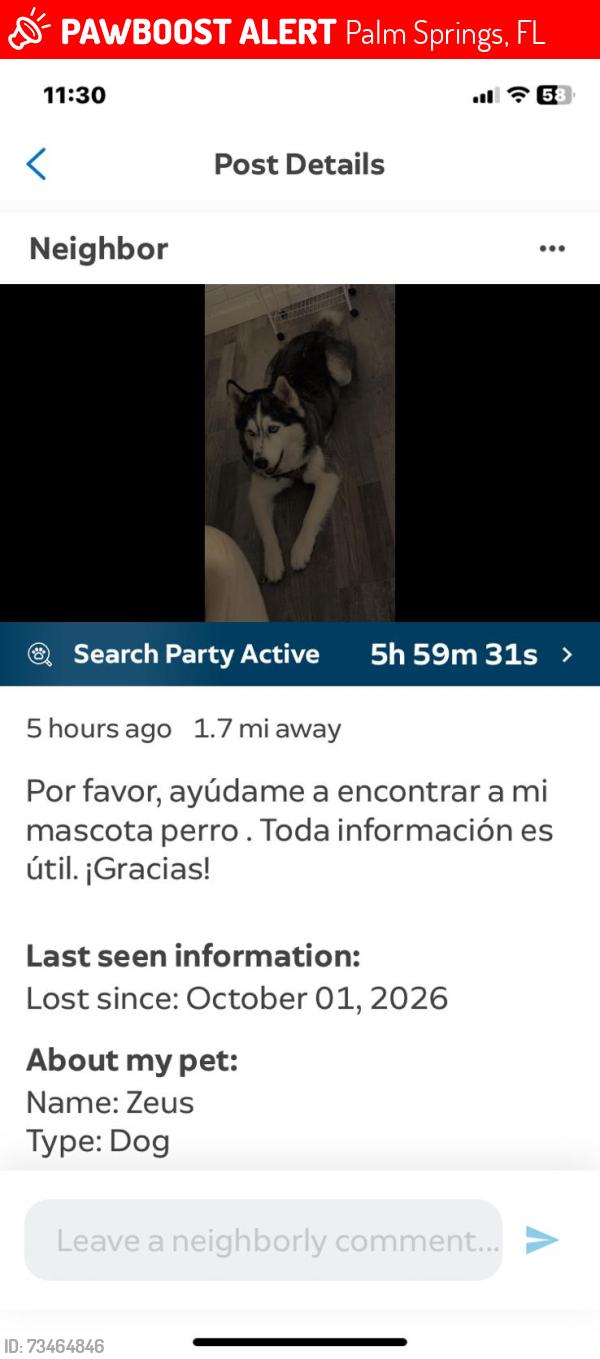 Lost Male Dog last seen Cypress Lane y Davis Road., Palm Springs, FL 33461