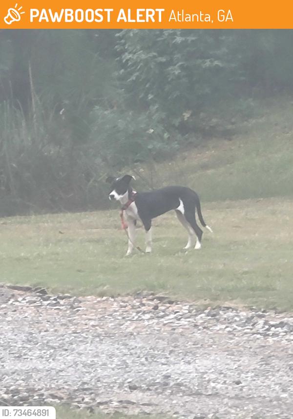 Found/Stray Unknown Dog last seen Old fairburn road, Atlanta, GA 30331