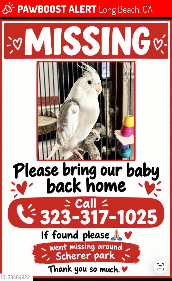 Lost Female Bird last seen Del Amo and peace st, Long Beach, CA 90805