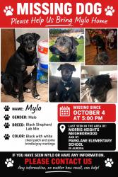 Lost Male Dog last seen Baranmor pkwy & Scranton st, Aurora, CO 80011