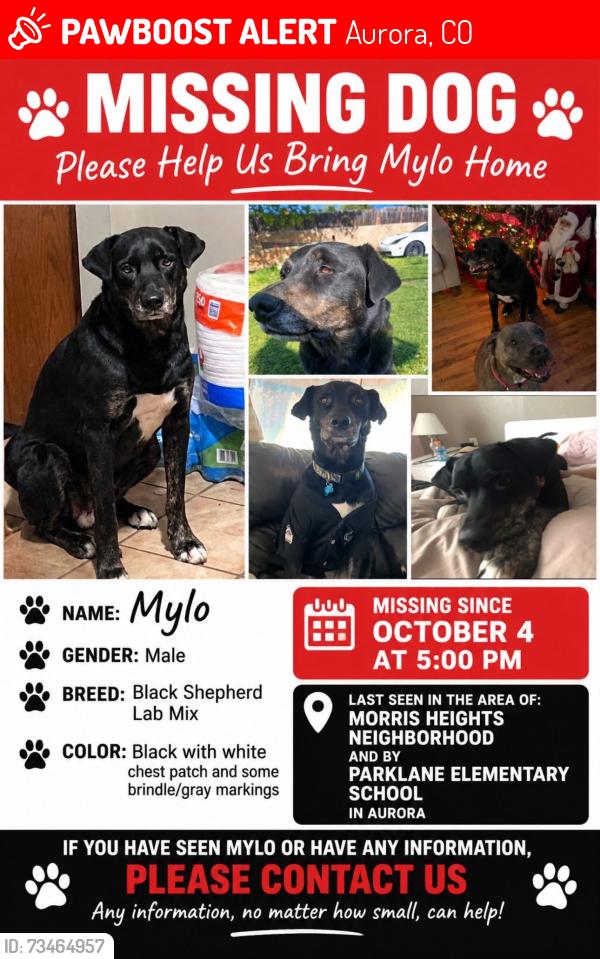 Lost Male Dog last seen Baranmor pkwy & Scranton st, Aurora, CO 80011