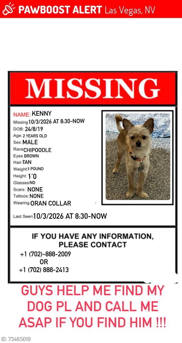 Lost Male Dog last seen Vons, Las Vegas, NV 89113