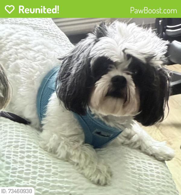 Reunited Female Dog last seen Teichman Ct, Prunedale, CA 93907