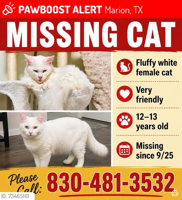 Lost Female Cat last seen Farmhouse Drive in Marion, near HWY 78, Marion, TX 78124