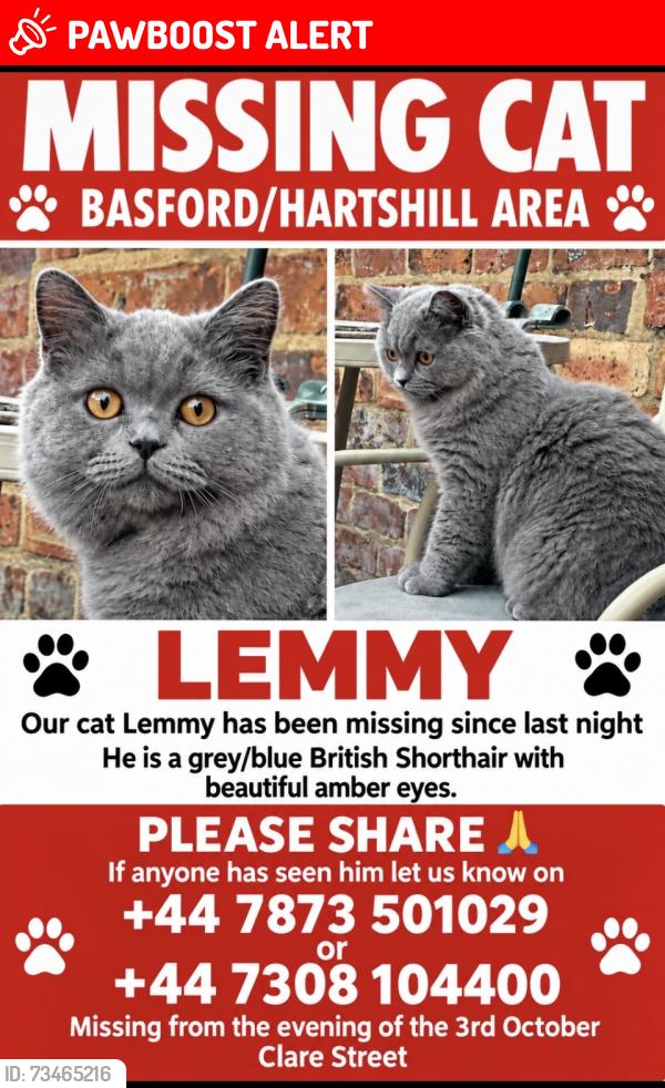 Lost Male Cat last seen Basford Stoke on Trent, Stoke-on-Trent, England ST4 6EE