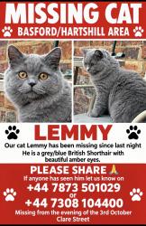 Lost Male Cat last seen Basford Stoke on Trent, Stoke-on-Trent, England ST4 6EE