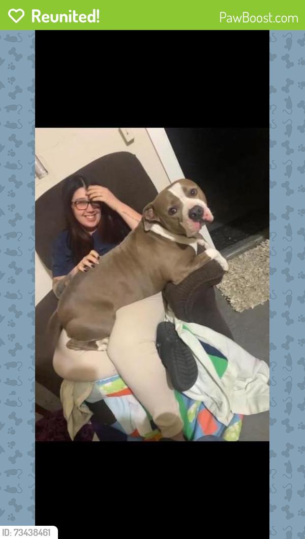 Reunited Male Dog last seen Near Ellis Rd S, Jacksonville, FL 32205, USA, Jacksonville, FL 32205