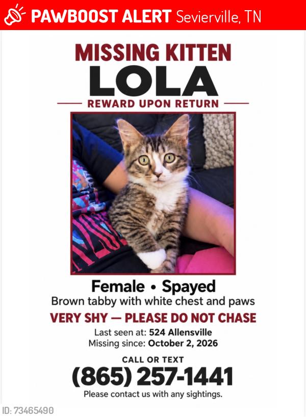 Lost Female Cat last seen Near Allensville rd, Sevierville, TN 37876