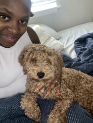 Reunited Male Dog last seen Near Park Blvd., Willow apmts, Nashville, TN 37217