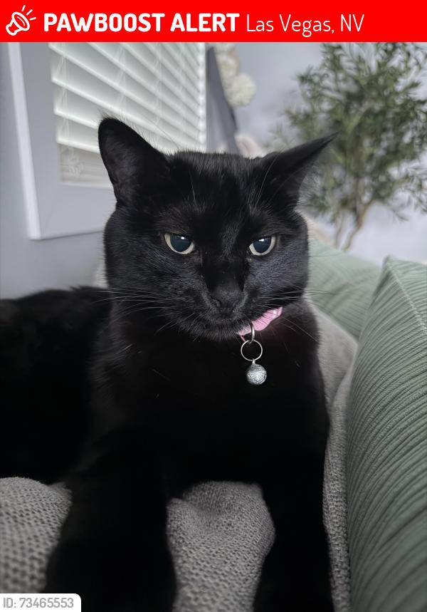 Lost Female Cat last seen Near w la mancha ave, Las Vegas, NV 89149