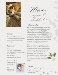 Lost Male Dog last seen 43rd Ave and Camelback Rd., Phoenix, AZ 85019