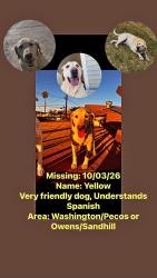 Reunited Male Dog last seen Washington/Pecos- Owens/Sandhill, Las Vegas, NV 89110