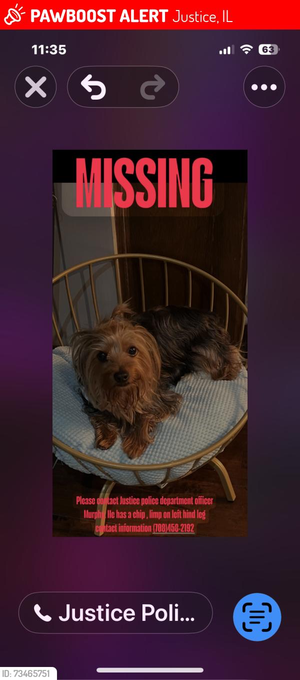 Lost Male Dog last seen 88th Ave 79th street, Justice, IL 60458