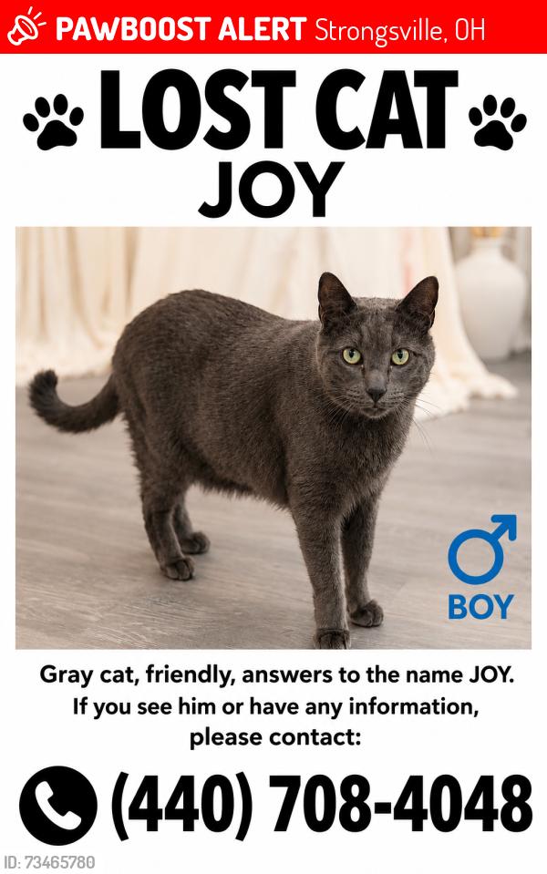 Lost Male Cat last seen Shagbark Trail, Strongsville, OH 44149