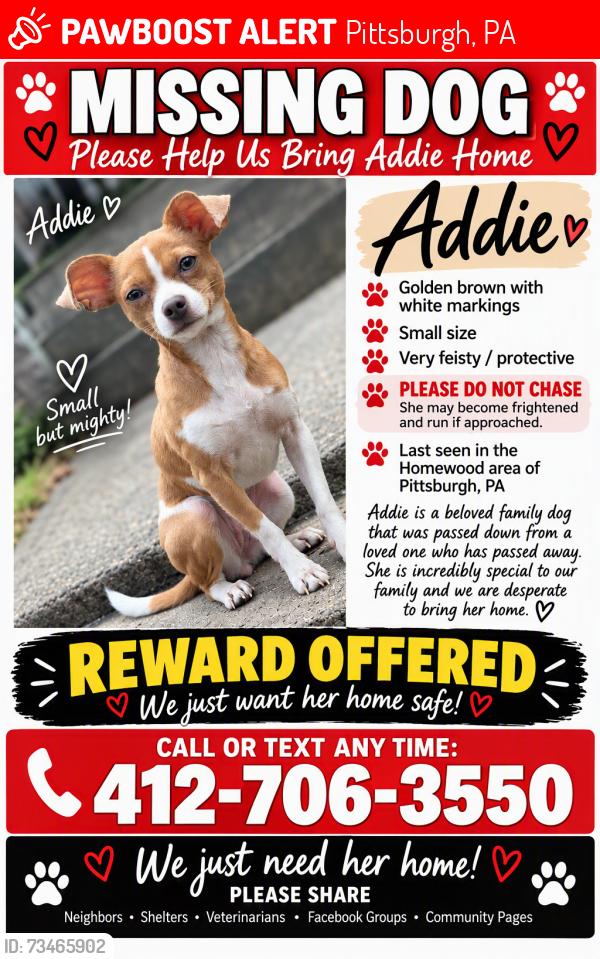 Lost Female Dog last seen North Braddock, Pittsburgh, PA 15208