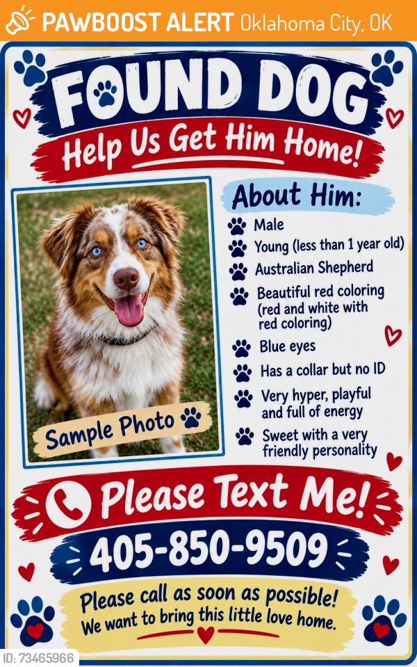 Found/Stray Male Dog last seen NW 12TH ST, Oklahoma City, OK 73107